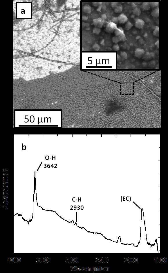 SUPPLEMENTARY INFORMATION Figure S2. (a) Typical SEM micrograph and (b) Infrared spectrum of a deposit obtained in 0.3M Ca(ClO 4 ) 2 EC:PC at -1.5 V vs.