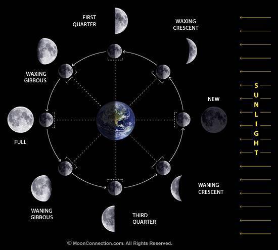 8 Phases of the Moon Video Clip: Moon