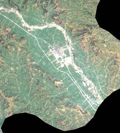 (Bottom Left) Landsat MSS image