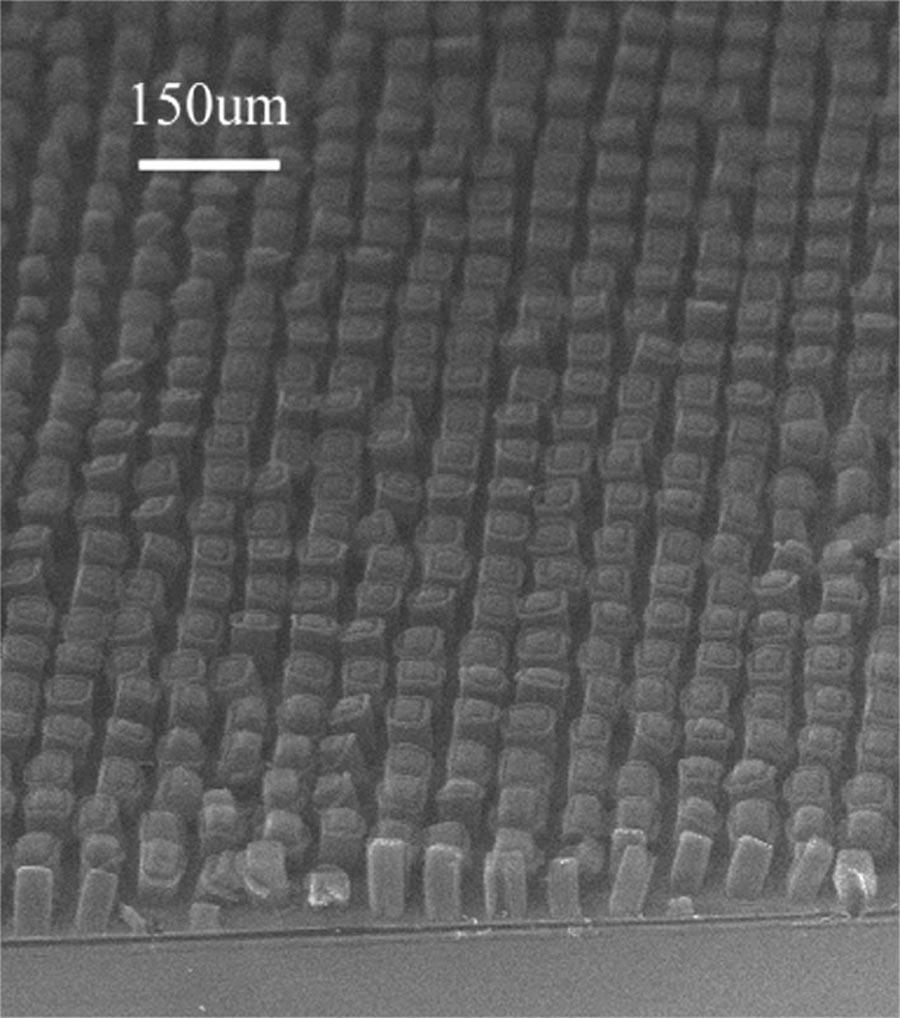S. Fan et al. / Physica E 8 (2000) 179 183 181 Fig. 3. Schematic diagram of the setup testing the inuence of local environment. Fig. 2. Carbon nanotube arrays grown on p-type plain silicon substrate.