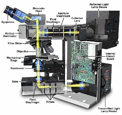 Imaging Methods: Optical Microscopy visual inspection / magnification of an object by the use of light, resolution around half the wavelength of light (practically around 0.