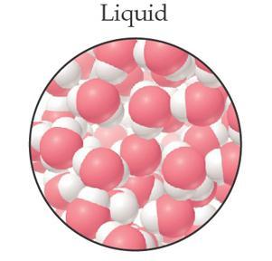 Liquid Fixed (or constant)