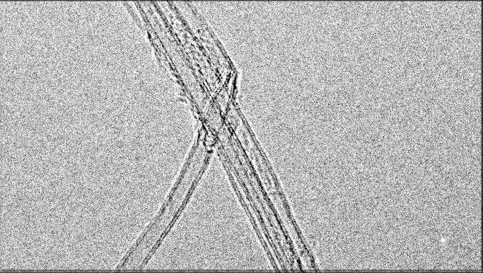 2 Suitability of carbon nanotubes grown by chemical vapor deposition for 16 electrical devices CNTs may meet each other during growth.