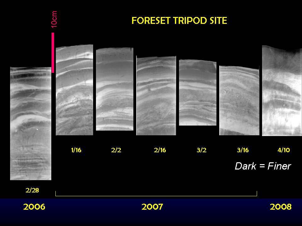 Figure 5. X-radiograph positives (dark=finer sediment) of upper seabed stratigraphic evolution at the foreset (T1) site taken from cores collected during two week turnarounds of the tripods.