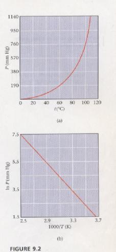 Vapor pressure versus T Vapor pressure of water: 5 mm Hg 50 9 mm Hg 100 760 mm Hg (a) P = a e H vap / RT ln P vs.