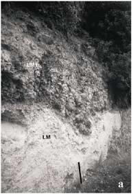 (a) Photo of the MTN LM pumice and UM scoria units [from D Oriano et al., 2005].