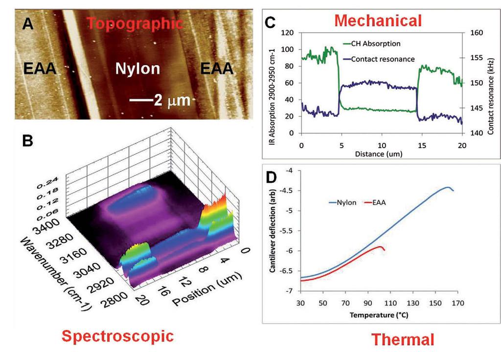 APPLICATION Nanoscale infrared spectroscopy (a) (c) (b) (d) Fig. 9(a) AFM topographic image clearly showing regions of nylon and ethylene co-acrylic acid (EAA).