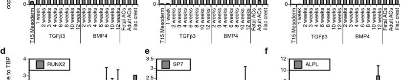 qrt-pcr-based expression analyses of indicated genes in day