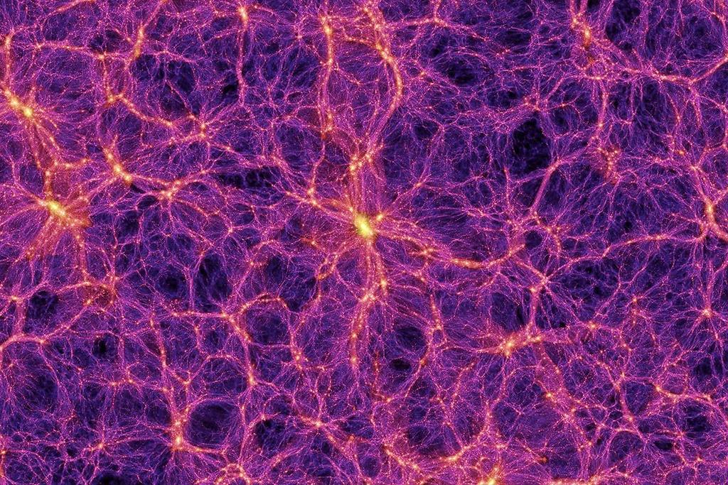 Cosmic Web Near-Field Cosmology 50 Mpc