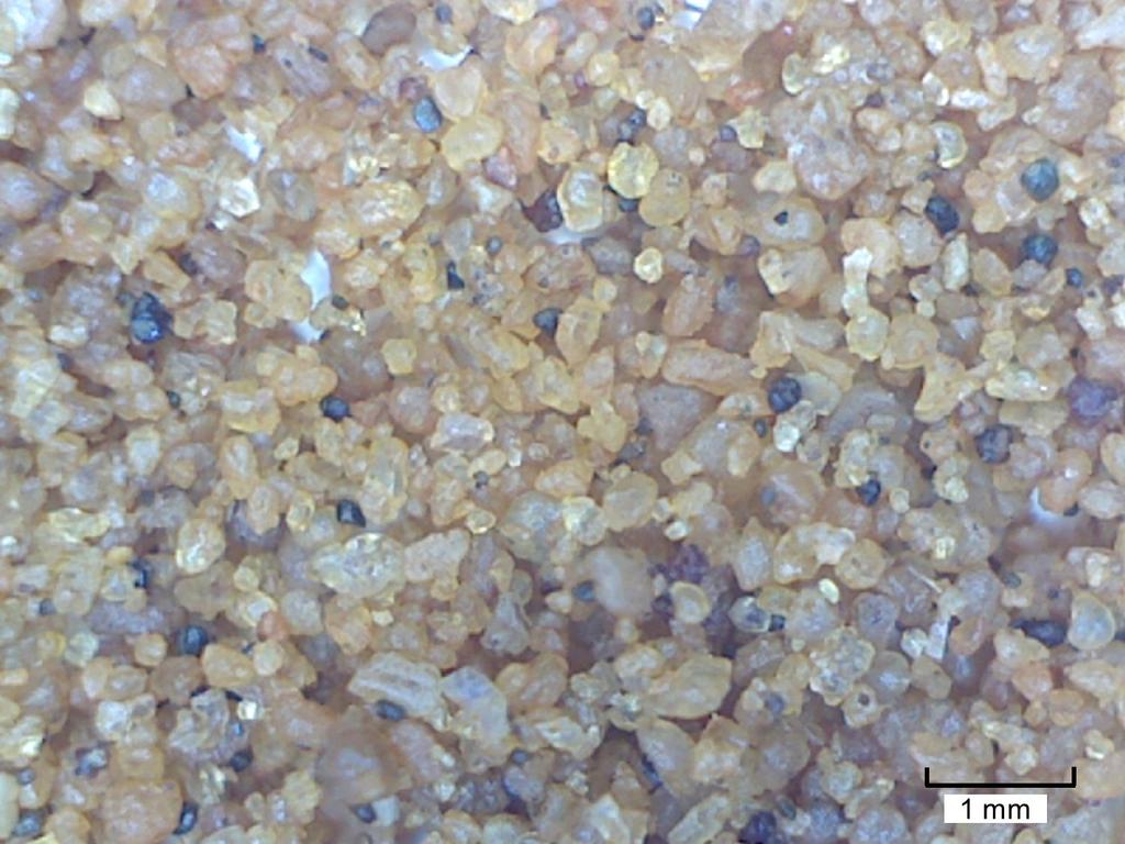 Typical Digital Photograph of Sediments Limonite?