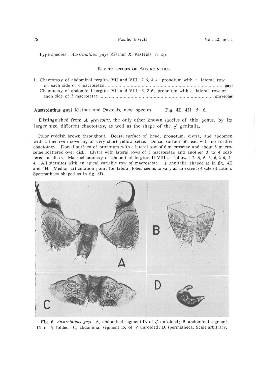 76 Pacific Insects Vol. 12, no. 1 Type-species : Austrointhus gayi Kistner & Pasteels, n. sp. KEY TO SPECIES OF AUSTROINTHUS 1.