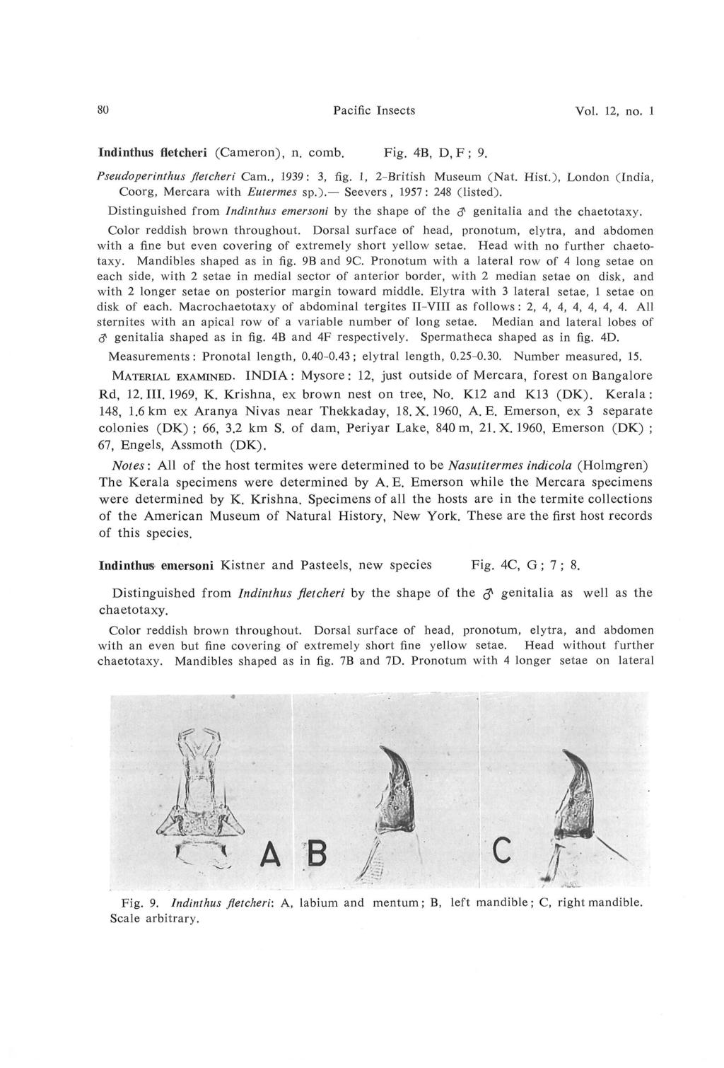80 Pacific Insects Vol. 12, no. 1 Indinthus fletcheri (Cameron), n. comb. Fig. 4B, D, F ; 9. Pseudoperinthus fletcheri Cam., 1939 : 3, fig. 1, 2-British Museum (Nat. Hist.