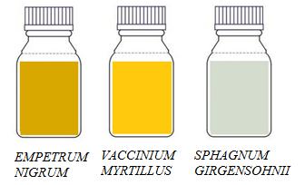 3.2.1 Preparation of extract 1. The extracts of Empetrum nigrum, Vaccinium myrtillus and Sphagnum girgensohnii, were made by crushing 50 g plant parts, leaves and stem, with a mortar. 2.