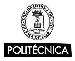 Tribunal nombrado por el Sr. Rector Magfco. de la Universidad Politécnica de Madrid, el día...de...de 2.