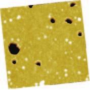 24 Craters originated by particles with 19-nm lodging depth. Random, partially circular shapes pointing to hoop-stress driven material removal of the top film layer, 2-µm 2-µm AFM scan. Figure 11.