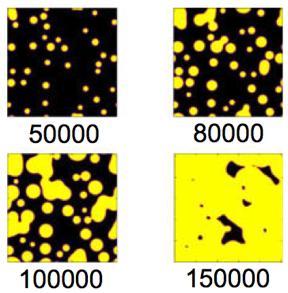 Large domain dynamics Multiple droplets: Nucleation and growth in large