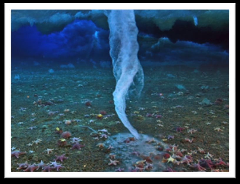 Mel%ng points can be lowered by several degrees. This image from the BBC series Frozen Planet shows a brinicle forming under polar sea ice.