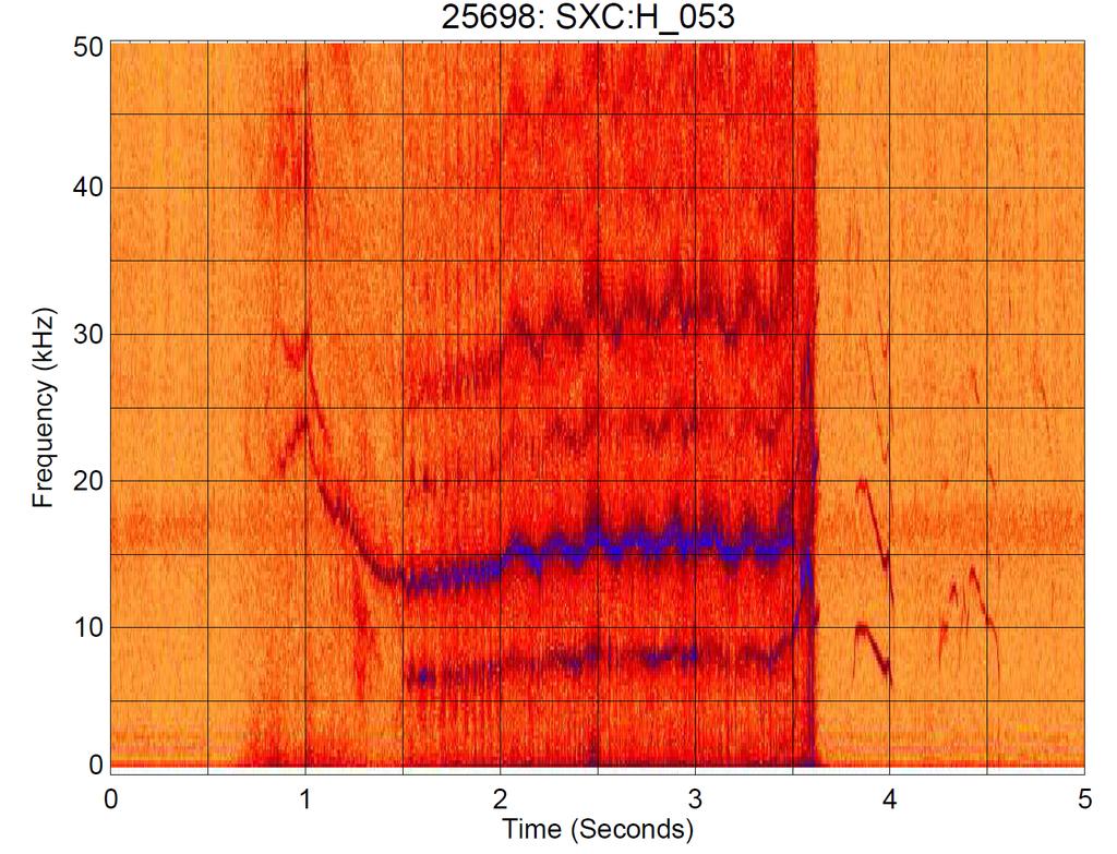 4.1 MHD MODE CHARACTERISATION 35 Figure 4.2: The spectrogram of the central SXR channel indicates clear MHD mode activity during the discharge #25698.