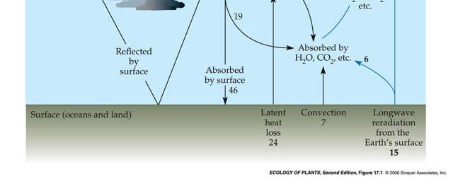surfaces and re-radiated as heat (longwave or infrared) Amount of
