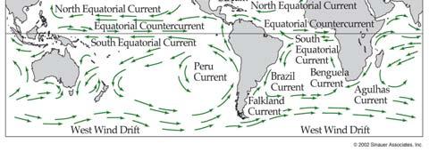 poleward 10/2/09 17 Precipitation patterns Determined by atmospheric circulation,