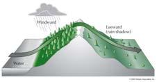 climates have uniform precipitation distribution, milder temperatures than continental;