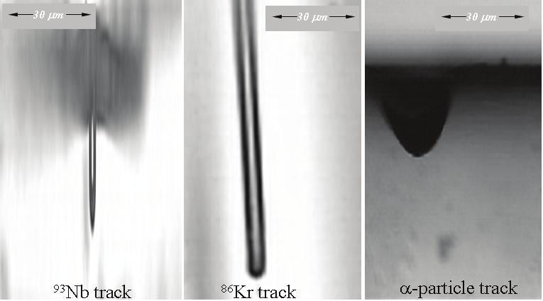 M F Zaki, A Abdel-Naby and A Ahmed Morsy Figure 5. Photomicrographs illustrating the etched track lengths in CR-39 detector.