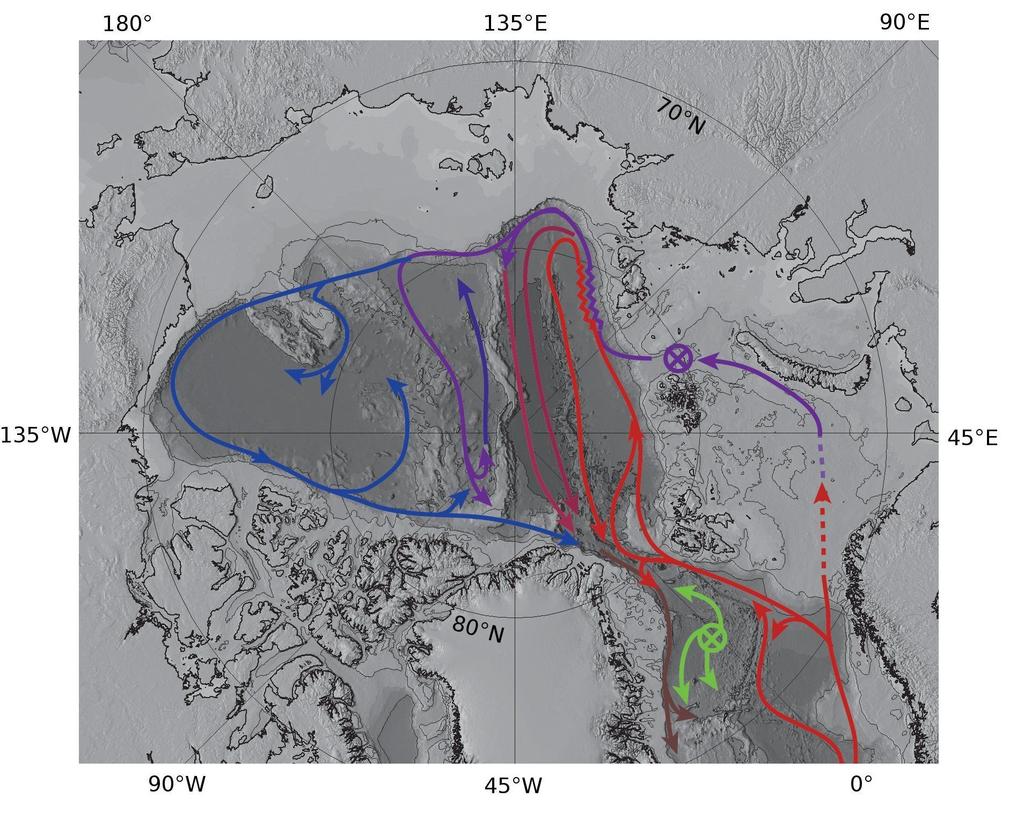 Canada Basin and over the Lomonosov Ridge and over the Mendeleev and Alpha ridges. The Barents Sea branch is warm enough to supply the temperature maximum in most of the Arctic Ocean basins.
