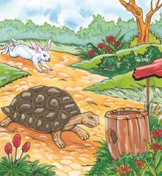 Follow the pictures and write a story about the hare and the tortoise.