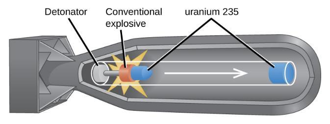 Each fuel assembly consists of fuel rods that contain many thimble-sized, ceramicencased, enriched uranium (usually UO 2 ) fuel pellets. Modern nuclear reactors may contain as many as fuel pellets.
