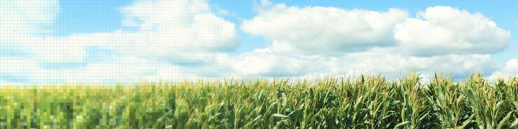 An agriculture intelligence company The most complete ag-weather data and insight for real-time