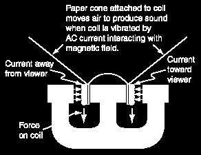 A cone attached to the voice coil does work on the surrounding air, creating compressions and rarefactions, thus creating sound waves.