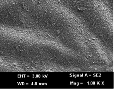 06 % wayar nano perak pada Rajah 5(a) dilakukan bagi mengenalpasti peratus wayar nano perak yang hadir dalam P(AAm-ko-EMA).