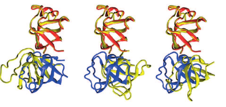 Protein-Protein Docking Refinement Using Restraint Molecular Dynamics.