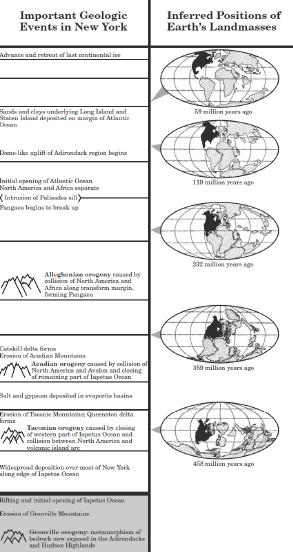 Plate motions and orogeny (mountain building)