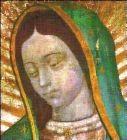 To close, let us look at three surprising facts: 1. In the Indian language, "Guadalupe" means to crush the head of the serpent. It properly refers to Genesis 3:15: Mary, the conqueror of evil. 2.