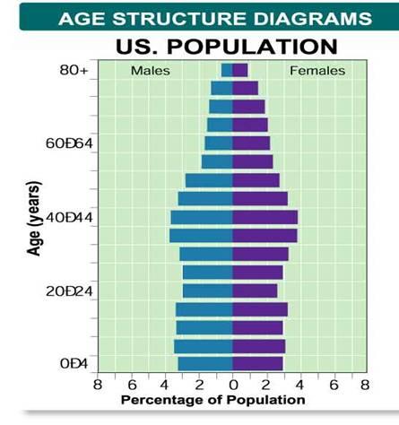 Age Structure Diagram Following Demographic Transition Rwandan