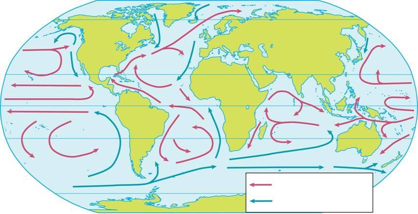 OCEAN CURRENTS Heat Transport