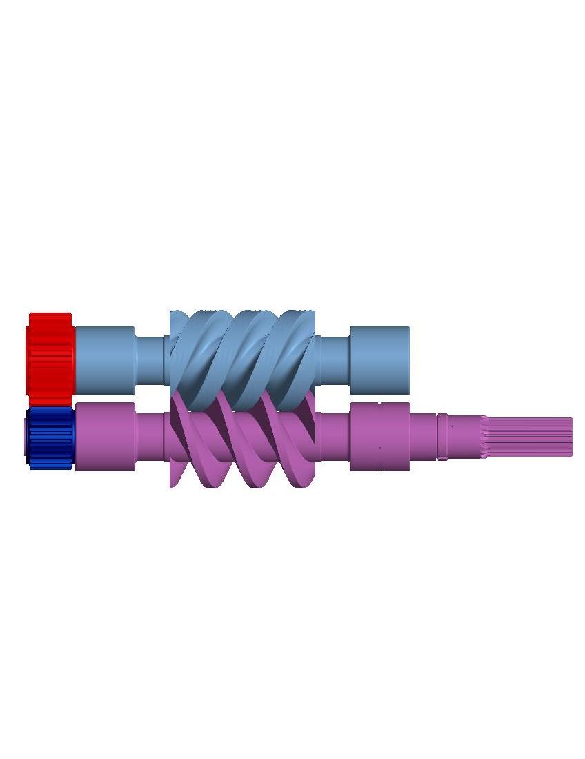 Working of a Twin-Screw