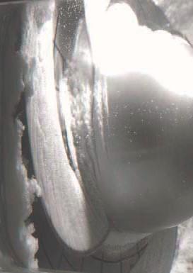 Important phenomenon such as cavitation and leakages are difficult to observe and measure.