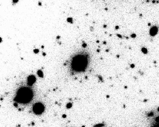 3C 186 5 Figure 4. The Chandra contours of the X-ray cluster emission superimposed on the Gemini-GMOS r -band image.