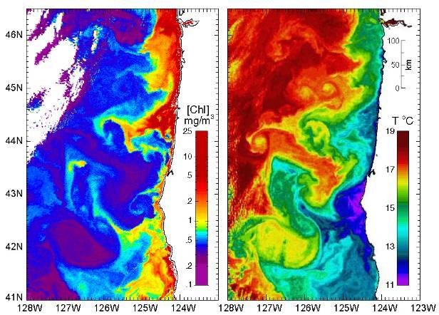 Equatorward winds force surface water offshore and upwelling of deep,