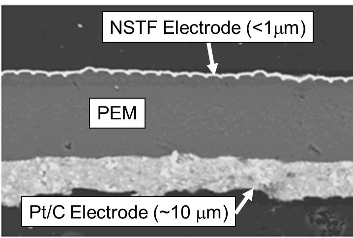 the anode and cathode catalyst layers.