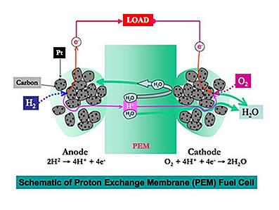 Half-Reactions in PEM Fuel Cells H 2 Pt 2H + + 2e Hydrogen Oxidation