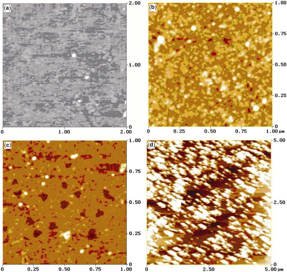 Nano-tribological characteristics of TiO 2 films 483 Figure 1. AFM images of (a) hydroxide substrate, (b) MPTS SAM, (c) oxidized MPTS SAM and (d) TiO 2 thin films.