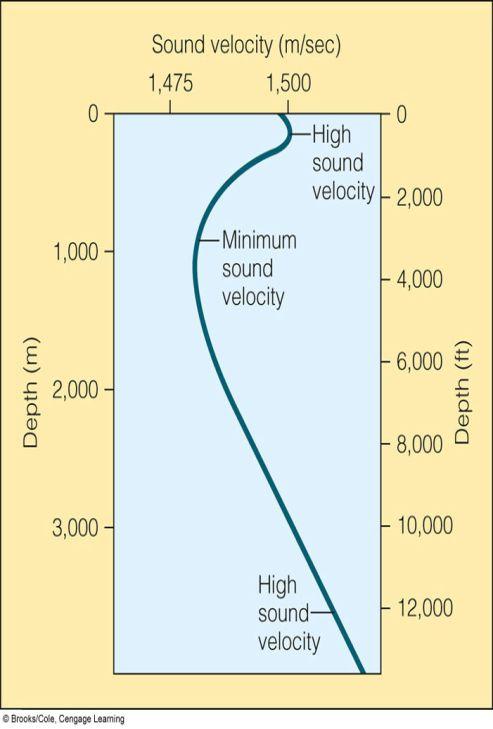 Light in the Ocean Speed of light: In water ~223,000 km/sec In air ~300,000