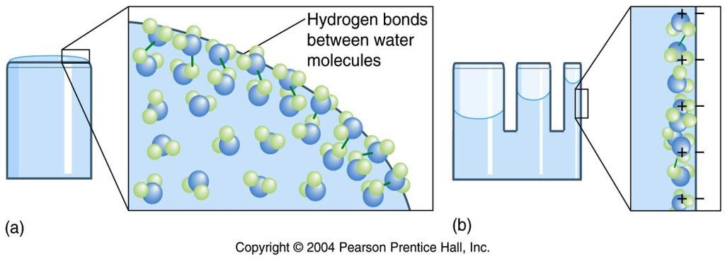 122 Cohesion The Water Molecule - Types of Bonds Universal solvent Electrostatic bonds between dipolar