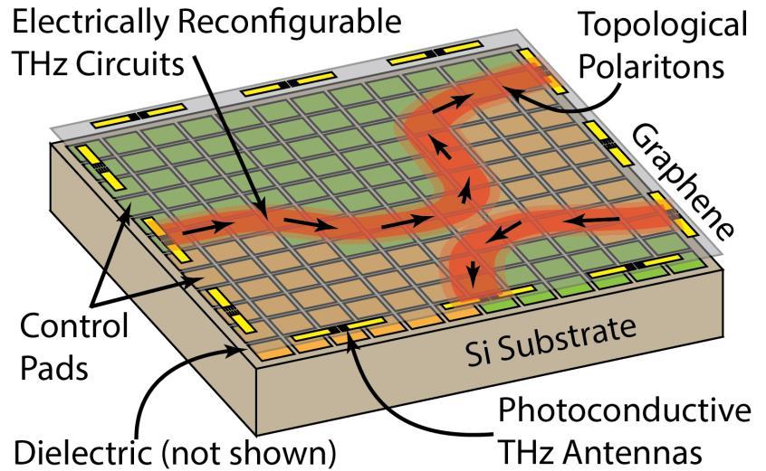 Electronically Reconfigurable Topological THz States in Graphene Graphene has impedance