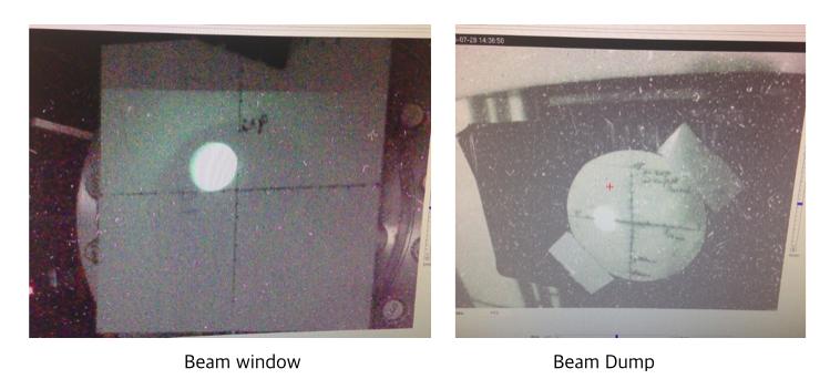 of ±0.4 pc in the air. The ICT was positioned ~50 cm from beam exit window between the window and the alumina target.