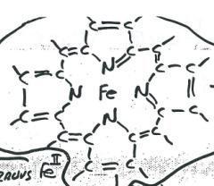 Ferrous Fe II x 2 -y 2 destabilized by heme N lone pairs z 2