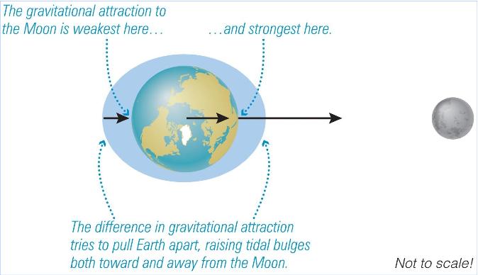 Tides are a difference in gravitational